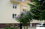 Projekt Komenského: SKOLAUD. BYT č.5 - cca 134 m2 - ZĽAVA – fotka 3